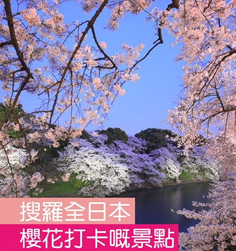搜羅全日本櫻花打卡嘅景點